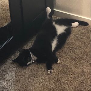 Meet your Posher, Zach